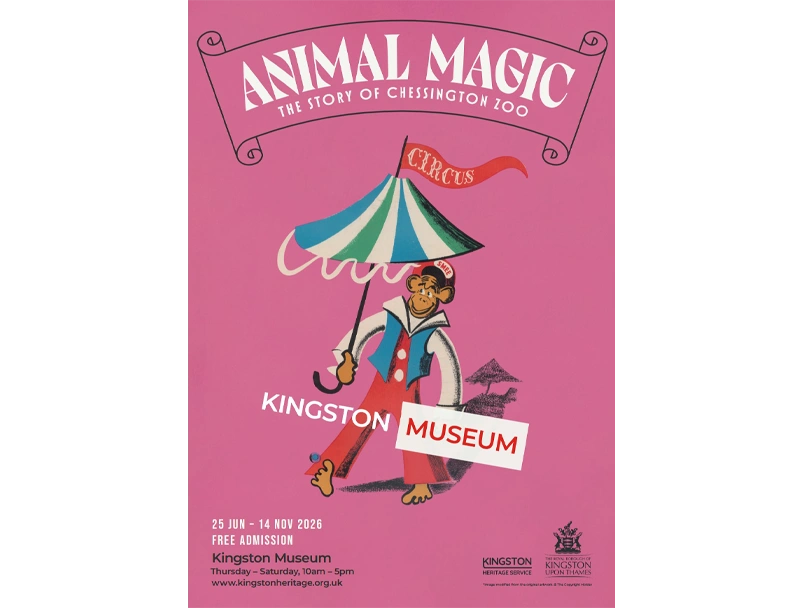 Animal Magic